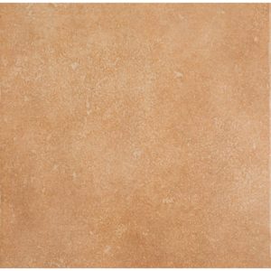 VEGA OCRE Image